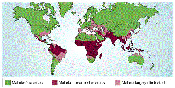 世界地图上的区域用不同颜色的阴影表示疟疾传播密度。绿色区域是无疟疾地区。粉红色区域代表疟疾已基本消除的地区。栗色区域代表活跃的疟疾传播区。地图的大部分区域呈绿色阴影，包括俄罗斯、蒙古、北美大部分地区、西欧、南美南部三分之一、北非大部分地区(不包括海岸)、南非大部分地区、北极地区和澳大利亚。在美国东南部、西班牙、东欧、伊朗、土耳其、澳大利亚北部、巴西和委内瑞拉部分地区以及中国东南部地区，疟疾已基本消除。疟疾传播在中美洲、巴西、阿根廷和秘鲁的一些地区发生，在哥伦比亚、印度、巴基斯坦、阿富汗、伊拉克、也门、阿曼、孟加拉国、东南亚以及阿尔及利亚、利比亚和埃及以南的非洲大陆大部分地区以及纳米比亚和博茨瓦纳北部(包括马达加斯加岛)也很常见。