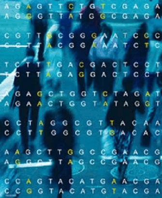 行人穿越城市的街道的照片已经被扭曲,因此只有每个图的抽象形状是可见的。一个过滤器被放在照片的颜色是一种自然的蓝绿色的。在图像的前景,字母A、T、G和C,是印在白色字母形式的双行十四行代码。白色的字母点缀着黄色字母双随机顺序。字母代表四种核苷酸形成DNA:腺嘌呤、胸腺嘧啶、鸟嘌呤、胞嘧啶,分别。