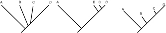 三个系统发育树图显示了相同的四个类群之间的关系，每个类群都来自同一个根，用黑色对角线表示。分类群从左到右被标记为A、B、C和D。在最左边的图中，四个分支的长度大致相同，在系统发育树的早期出现了均匀间隔的节点。在中间的图中，代表分类单元A的分支是代表分类单元B、C和D的分支的三倍长;B、C、D在右上端有节点。在最右边的图中，四个分支的长度各不相同。分支A最长，分支C最短。节点是随机分布的。