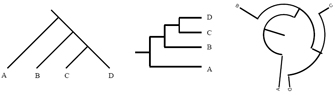 三个系统发育树图显示了同一四个类群之间的关系:A、B、C和d。在第一个图中，该类群由向下的对角线表示。在中间的图中，分类单元被表示为水平线，由垂直线连接，因此树由水平括号组成。在右边的图表中，分类群由相互连接的曲线表示，形成一个大致圆形的树。